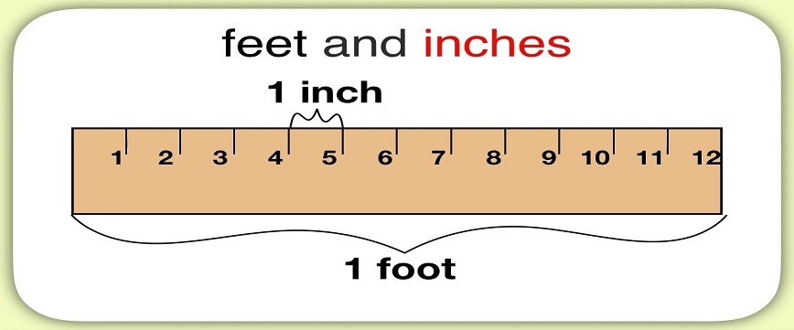 inches to feet